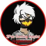2Pac Gaming Injector